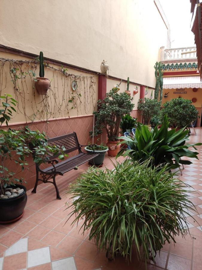 Hostal Monteolivos Cártama Exteriér fotografie